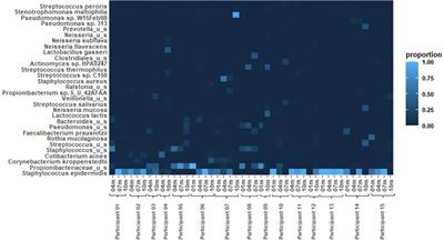 Metagenomic assessment of the bacterial breastfeeding microbiome in mature milk across lactation